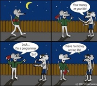 programmer no money no life